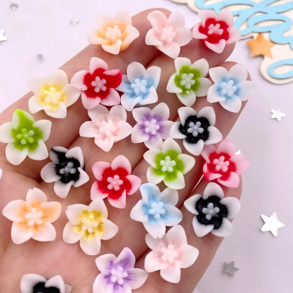 50 Stuks Hars 13Mm Kleurrijke  - Paradise Jewelry & Watches Llc Miami recensie en prijs