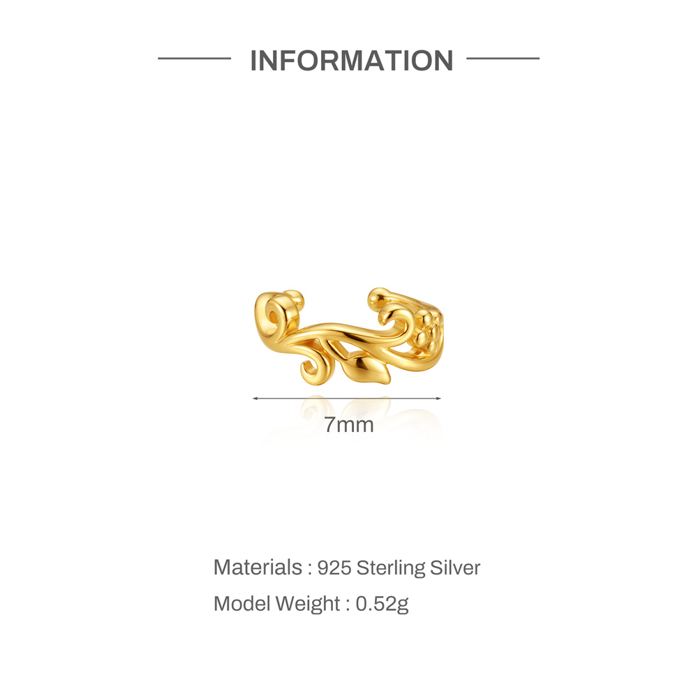 Aide 925 Sterling Zilver vergu - Ear Cuff No Piercing recensie en prijs