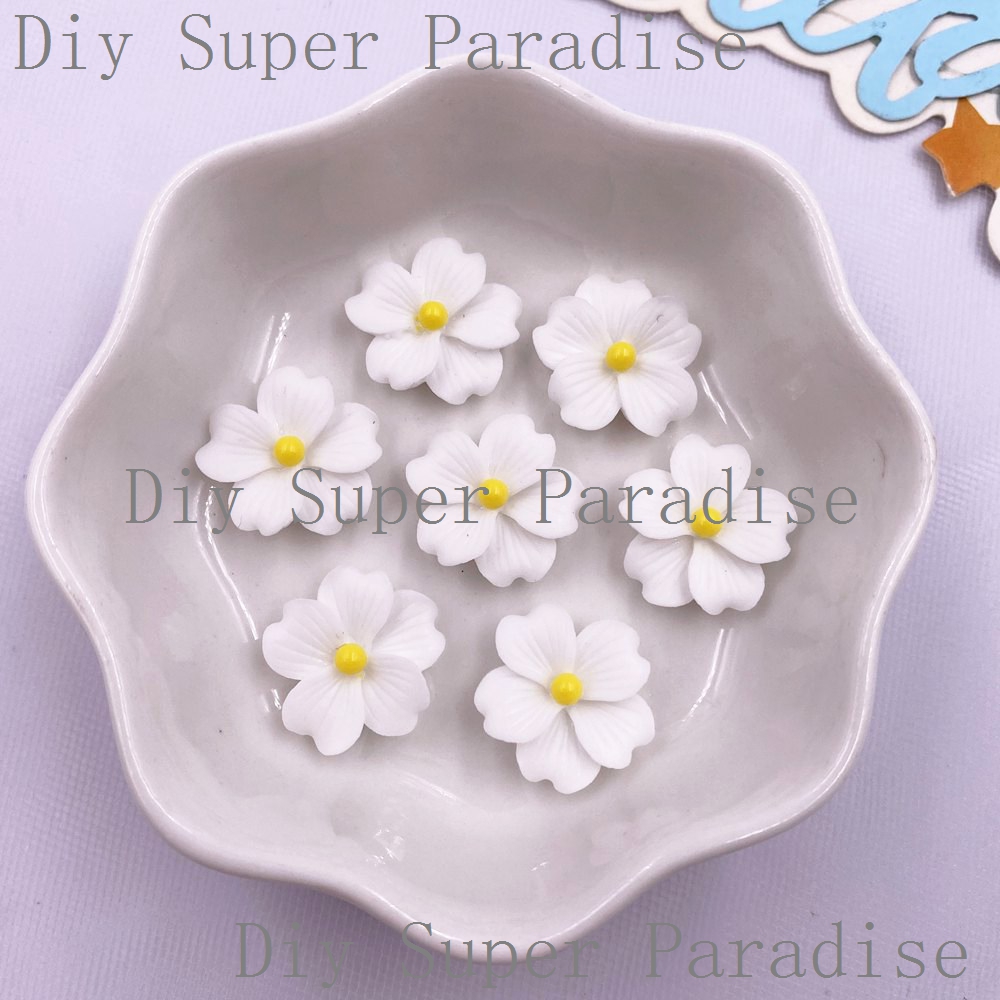 50 Stuks Hars Kleurrijke 16mm  - Paradise Jewelry & Watches Llc Miami recensie en prijs